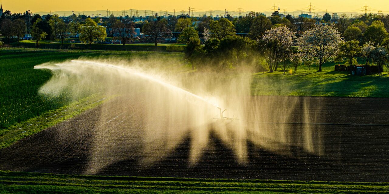 Biological Boom: R600M Chemical-Free Future for Western Cape Farms