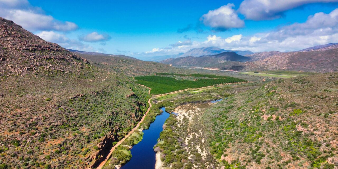 Western Cape farms face new climate reality
