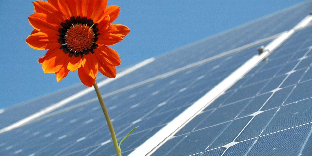After loadshedding, what now for SA’s solar surge?