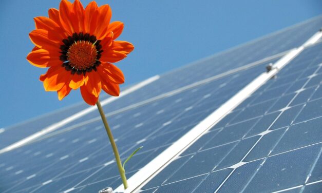 After loadshedding, what now for SA’s solar surge?