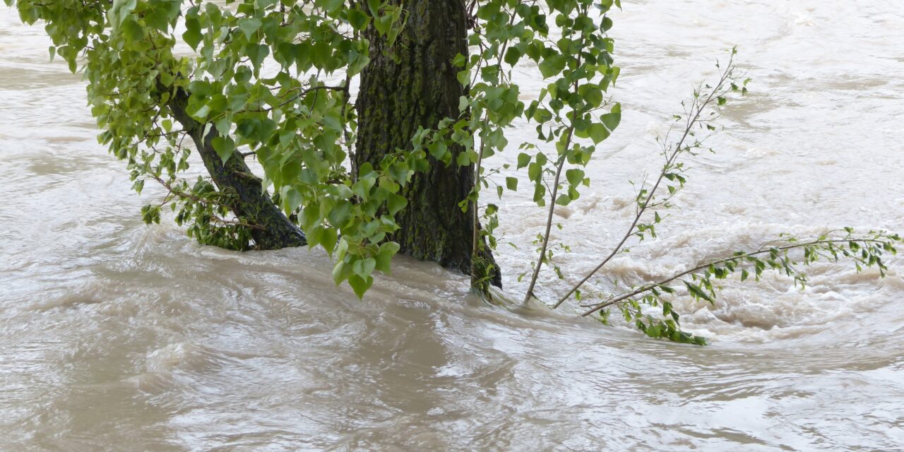 Floods don’t lie