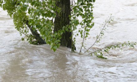 Floods don’t lie