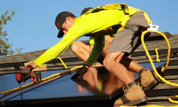 Gradual grid replacement gains ground