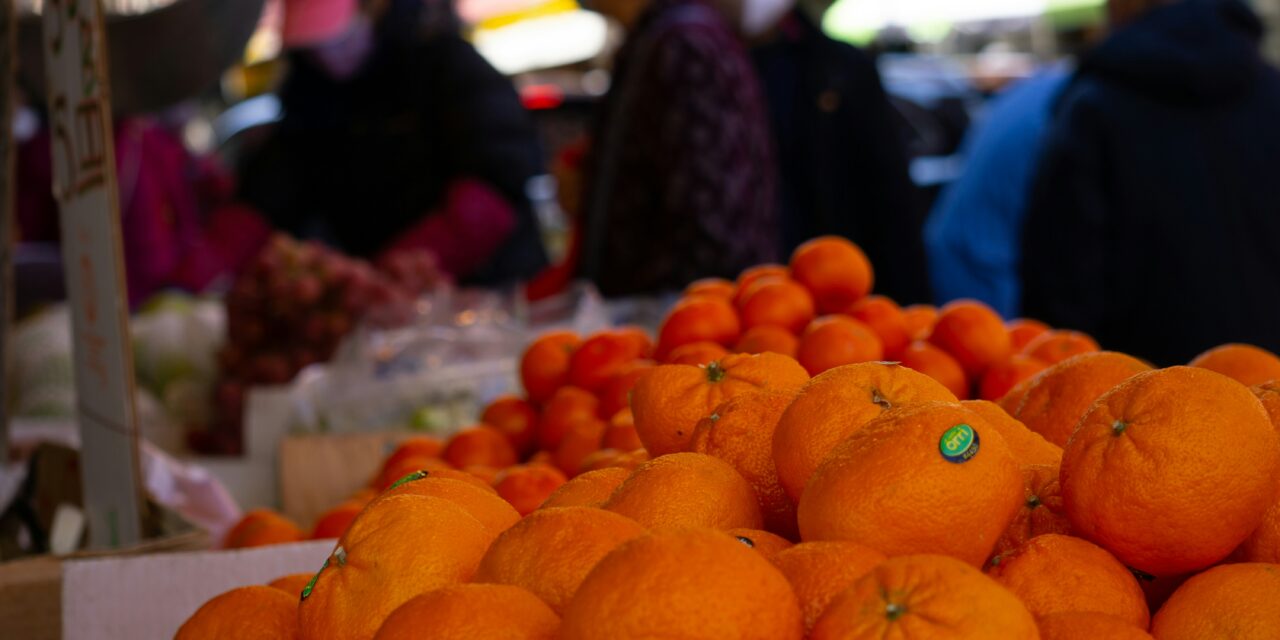 China eases citrus export rules in boost for South African growers