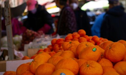 China eases citrus export rules in boost for South African growers