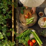 Plant Health Day marked as food security risks intensify