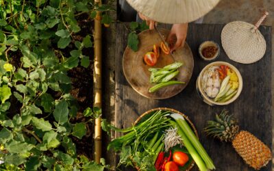 Plant Health Day marked as food security risks intensify