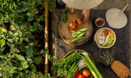 Plant Health Day marked as food security risks intensify