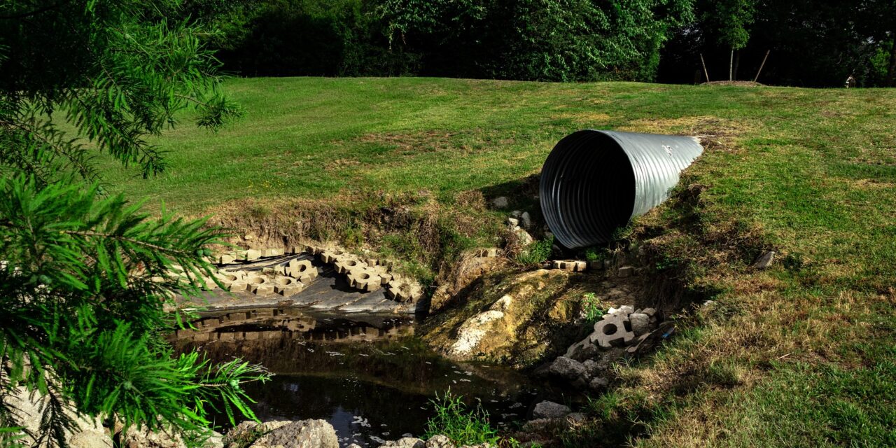 Can trees fix the stench around SA’s wastewater plants?